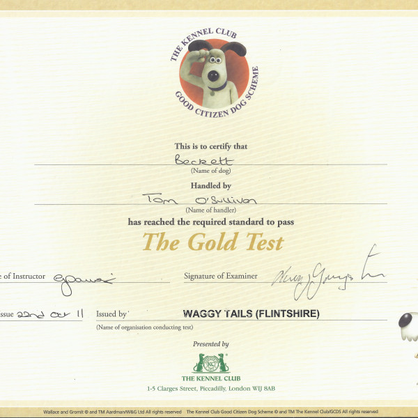 Good Citizen Dog Scheme – Gold