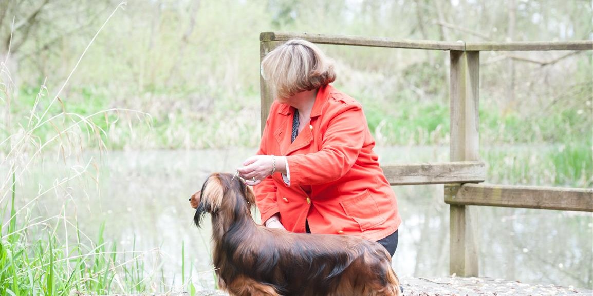 Ch Zarcrest Hugo Boss