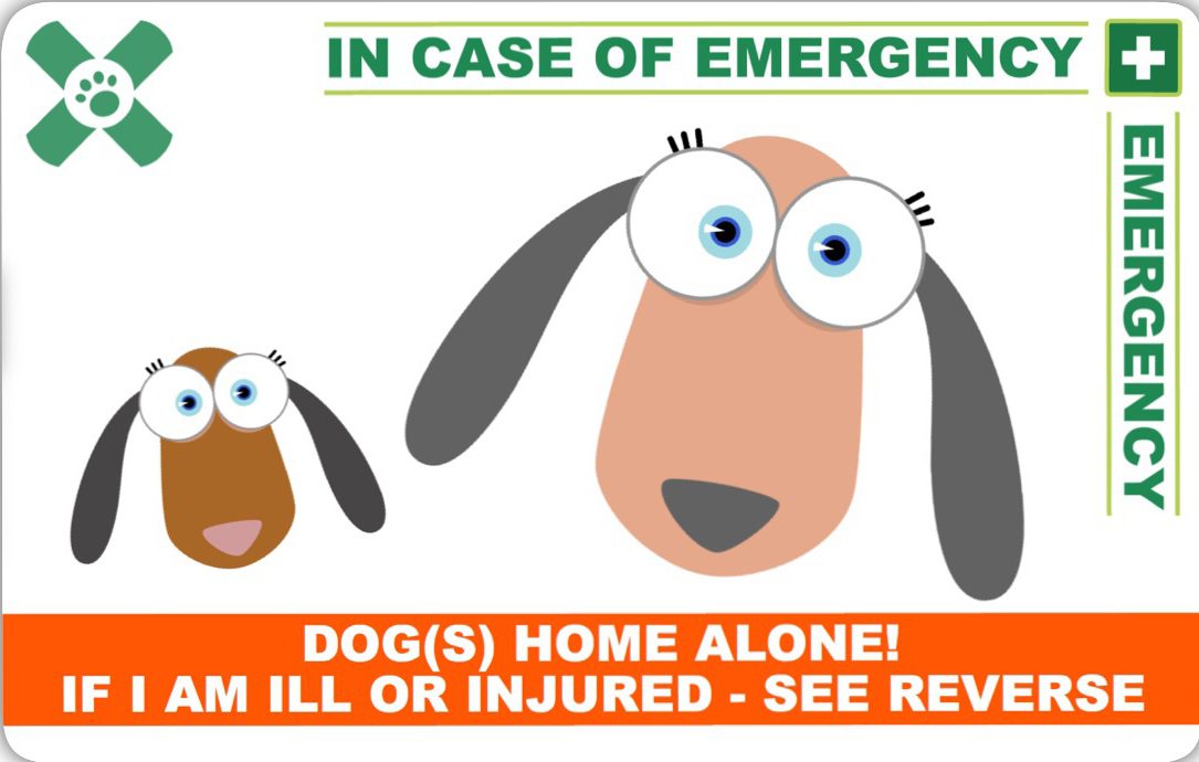 DogICE Card