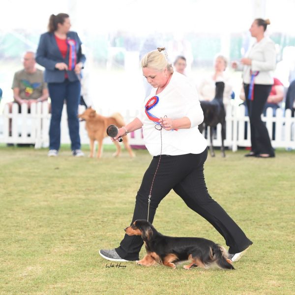 Zarcrest Black Brewer