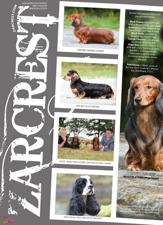 Zarcrest_Advert_WKC_2017