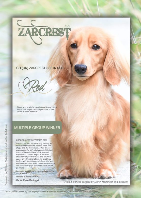 CH ZARCREST SEE IN RED