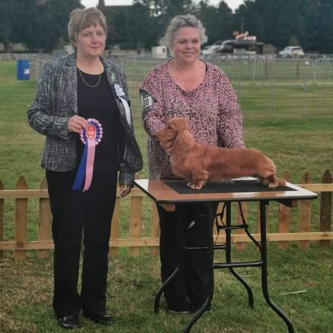 Puppy Group 1 at Border Union 2021