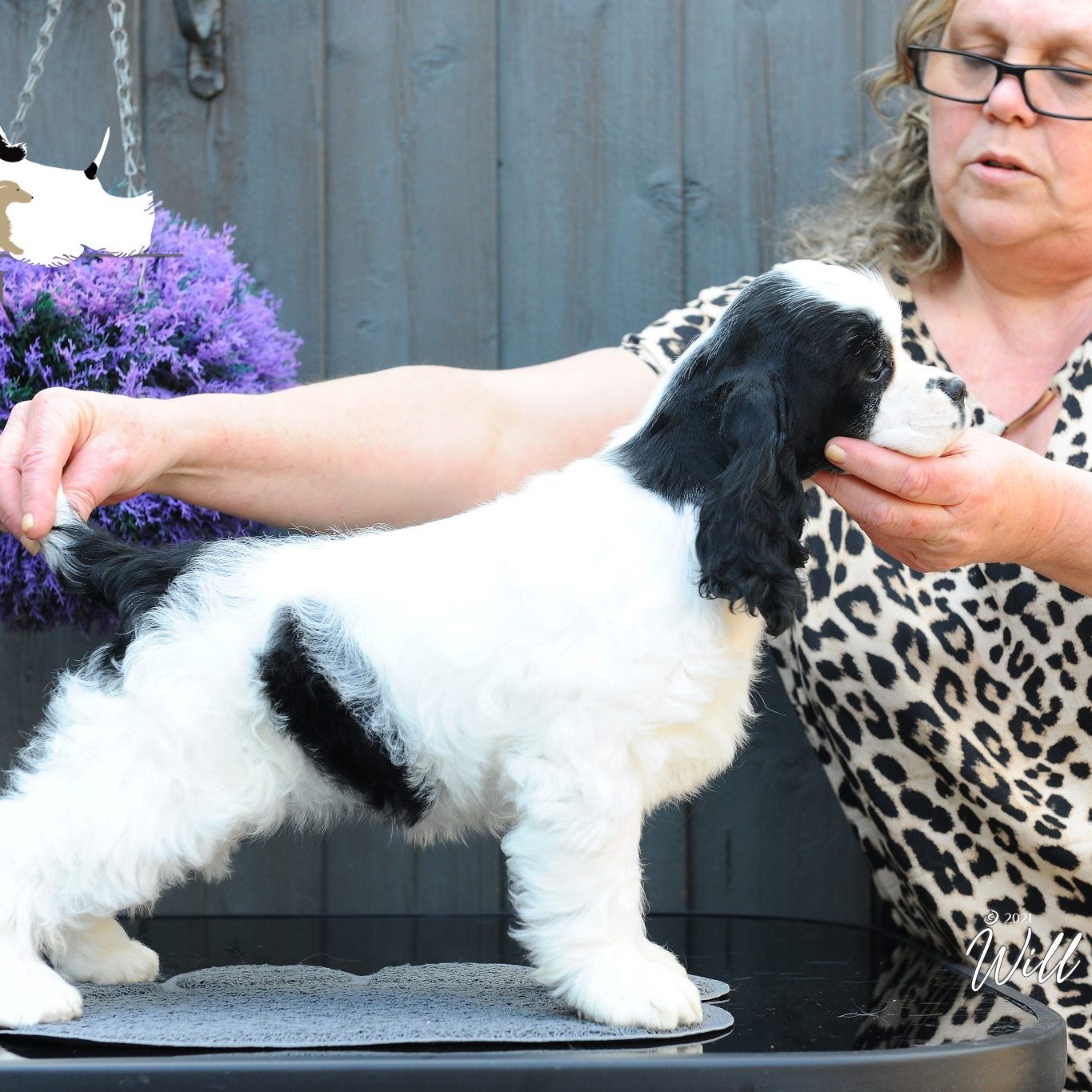 Zarcrest Panda Monium