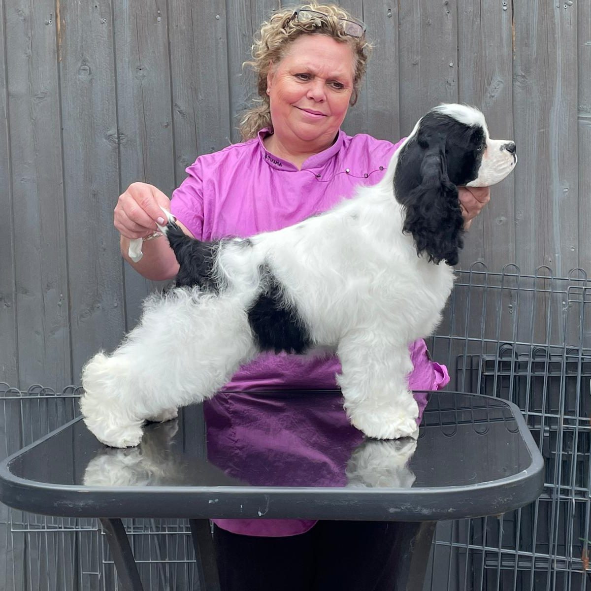 Zarcrest Panda Monium