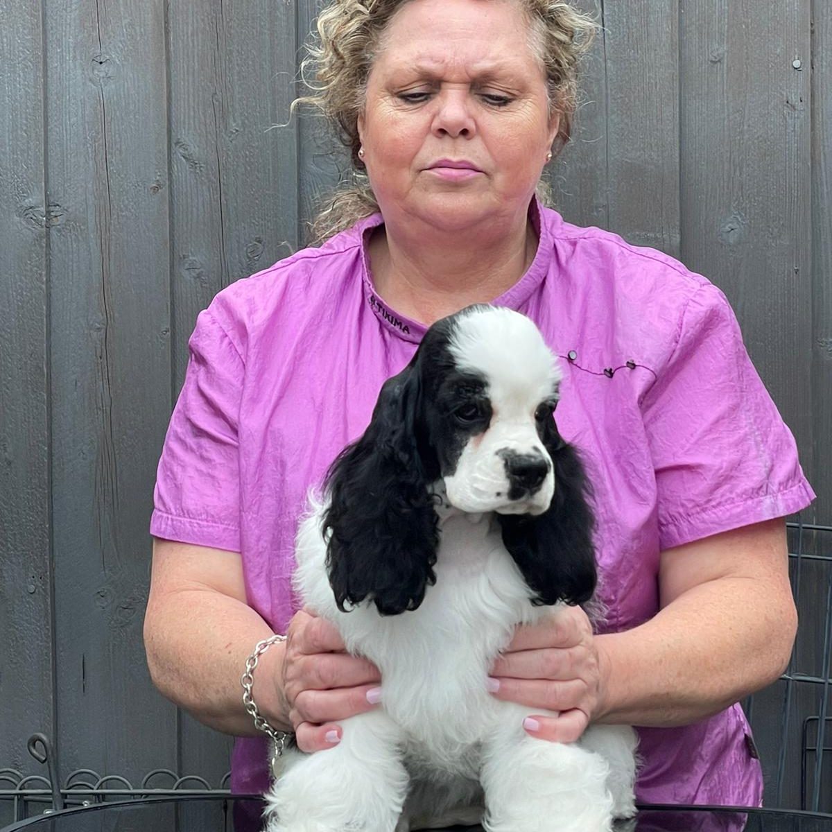 Zarcrest Panda Monium