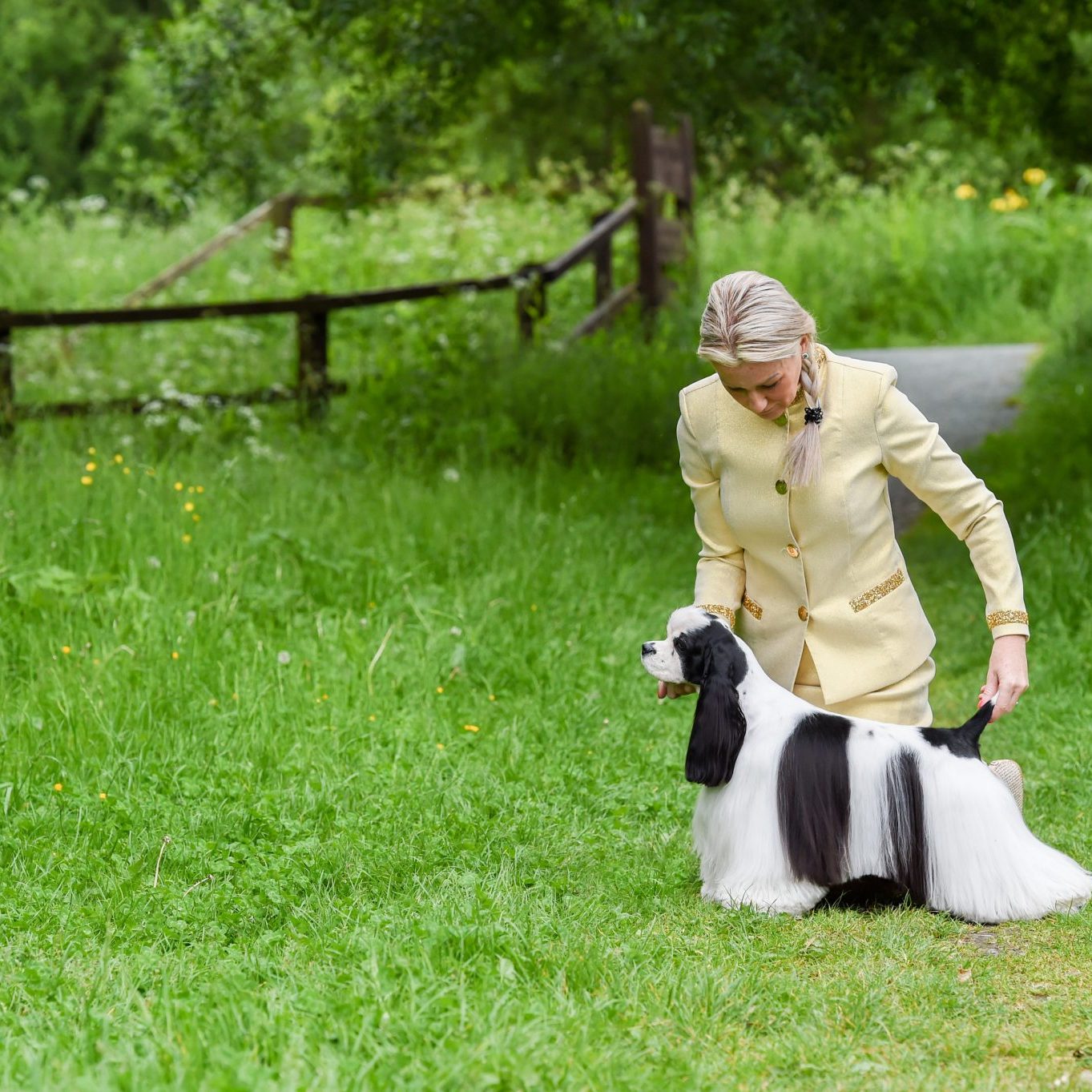 Sh Ch Zarcrest Panda Monium