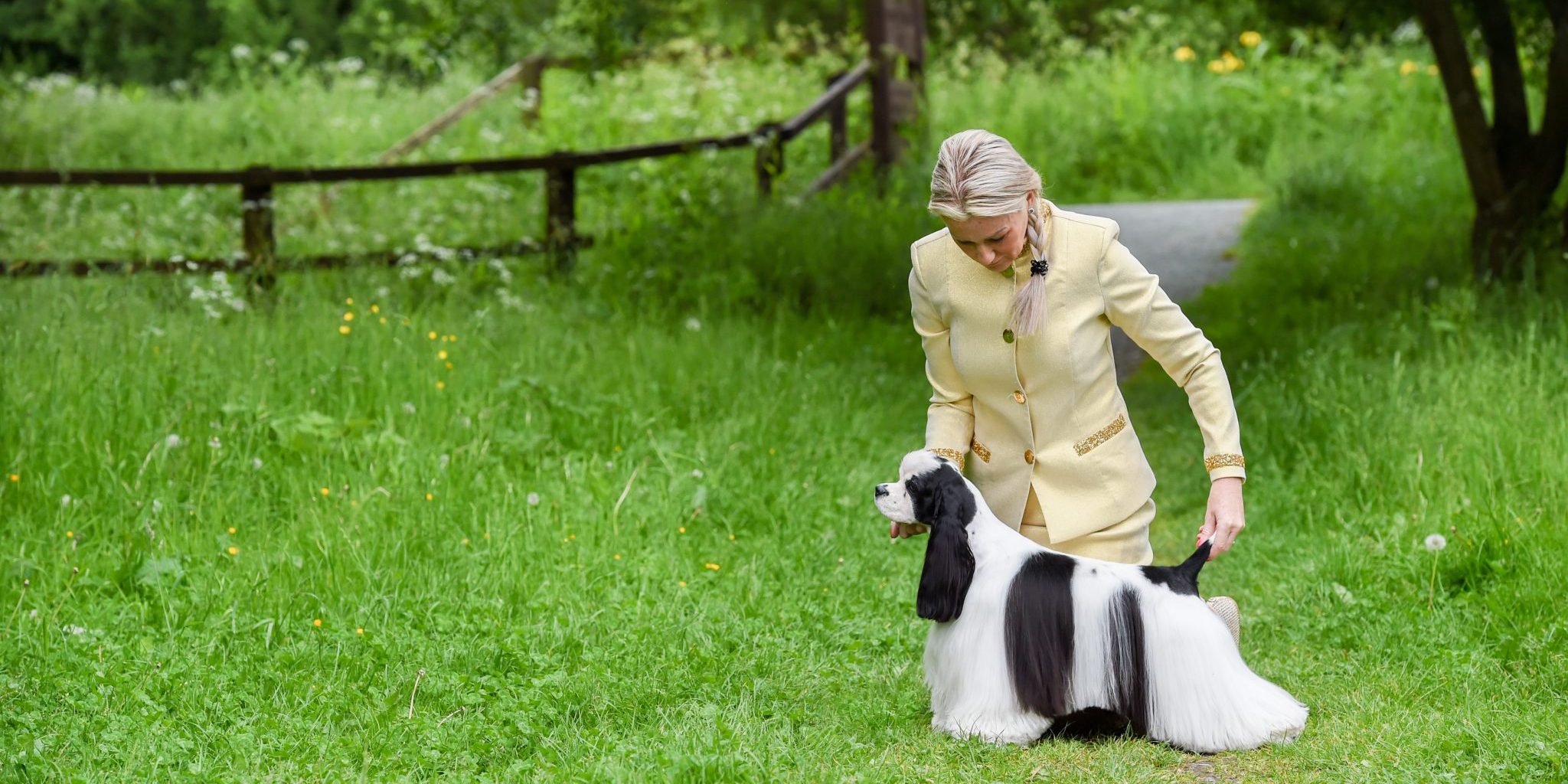 Sh Ch Zarcrest Panda Monium