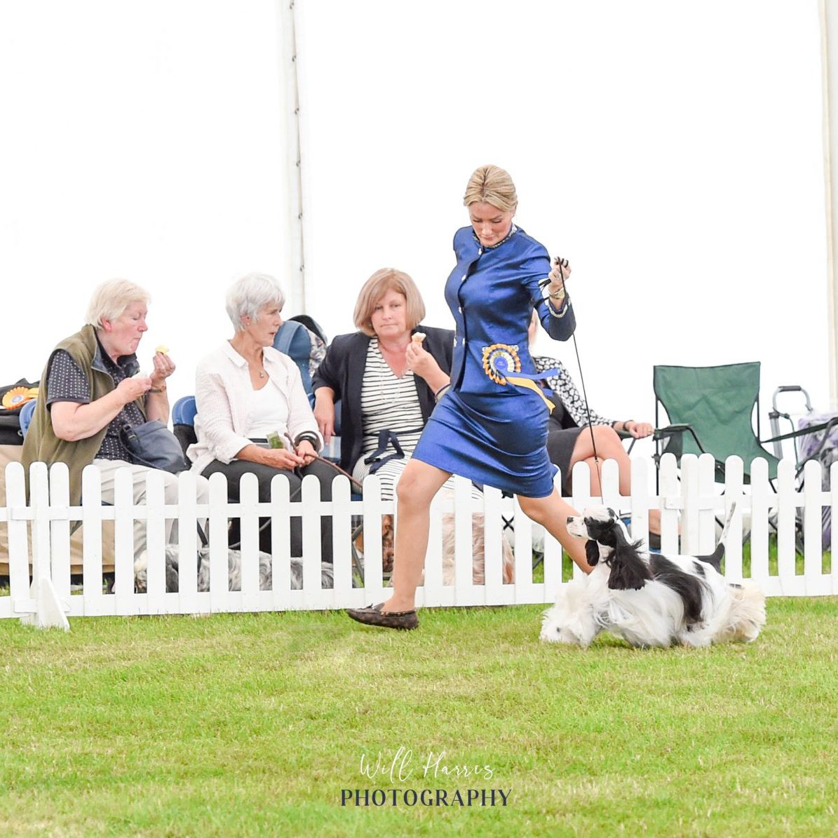 SH CH ZARCREST PANDA MONIUM