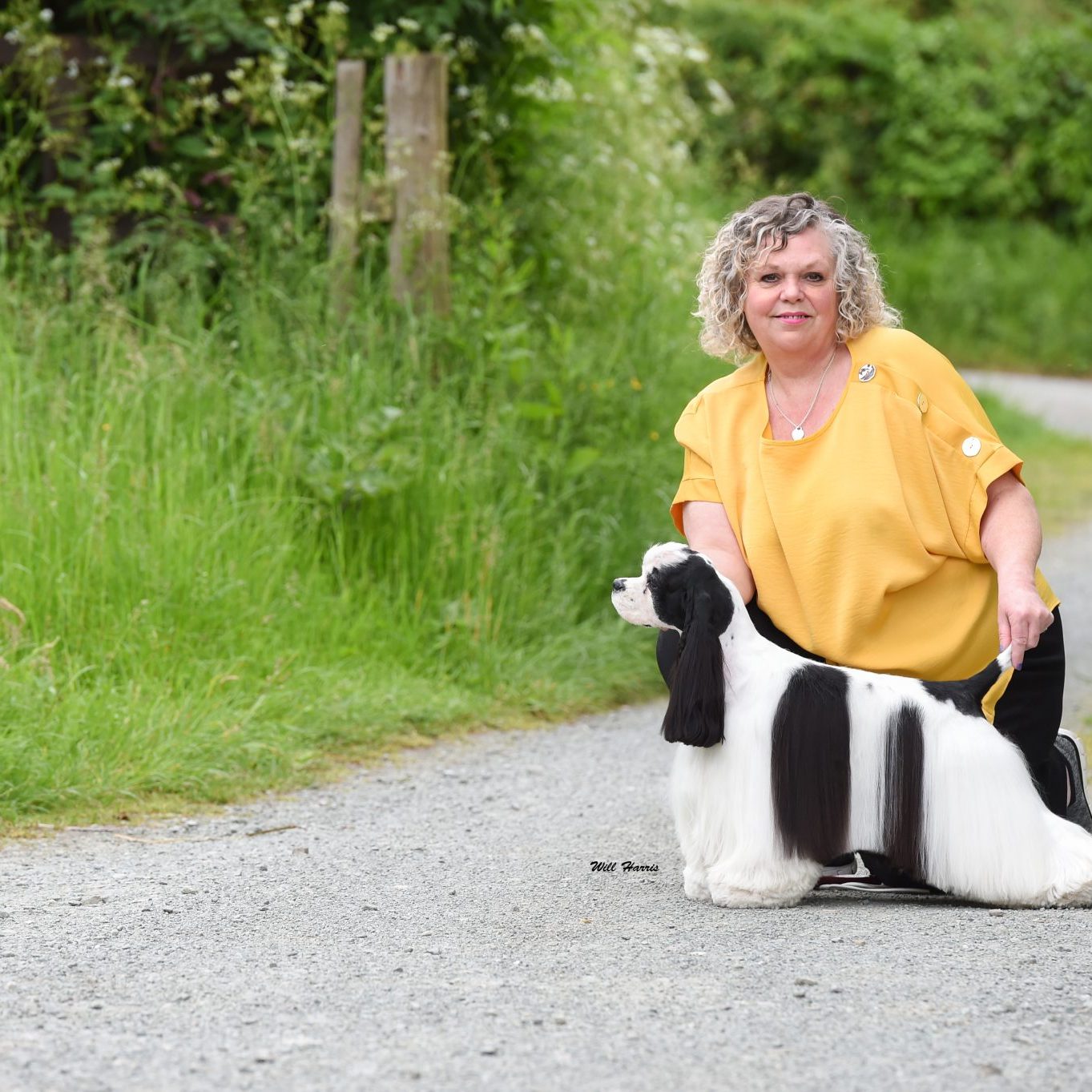 Sh Ch Zarcrest Panda Monium