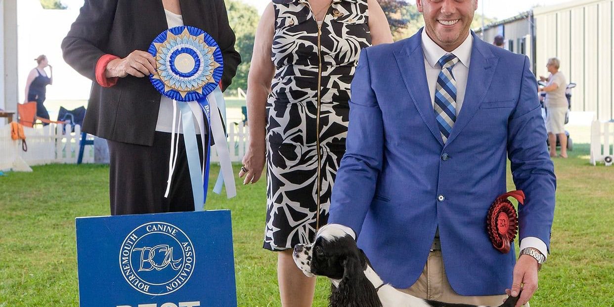 Zarcrest After Blend