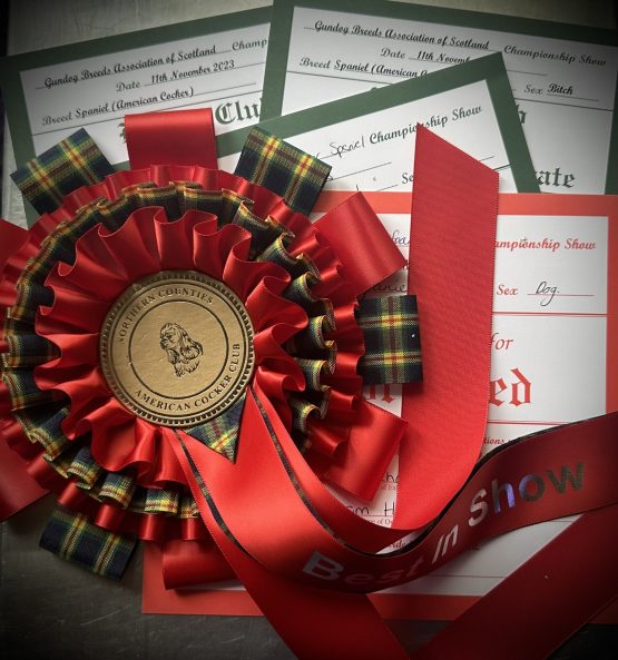 NCACSC Ch Show 23