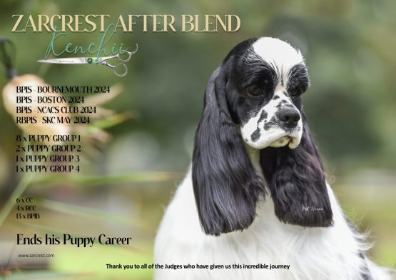 Zarcrest After Blend