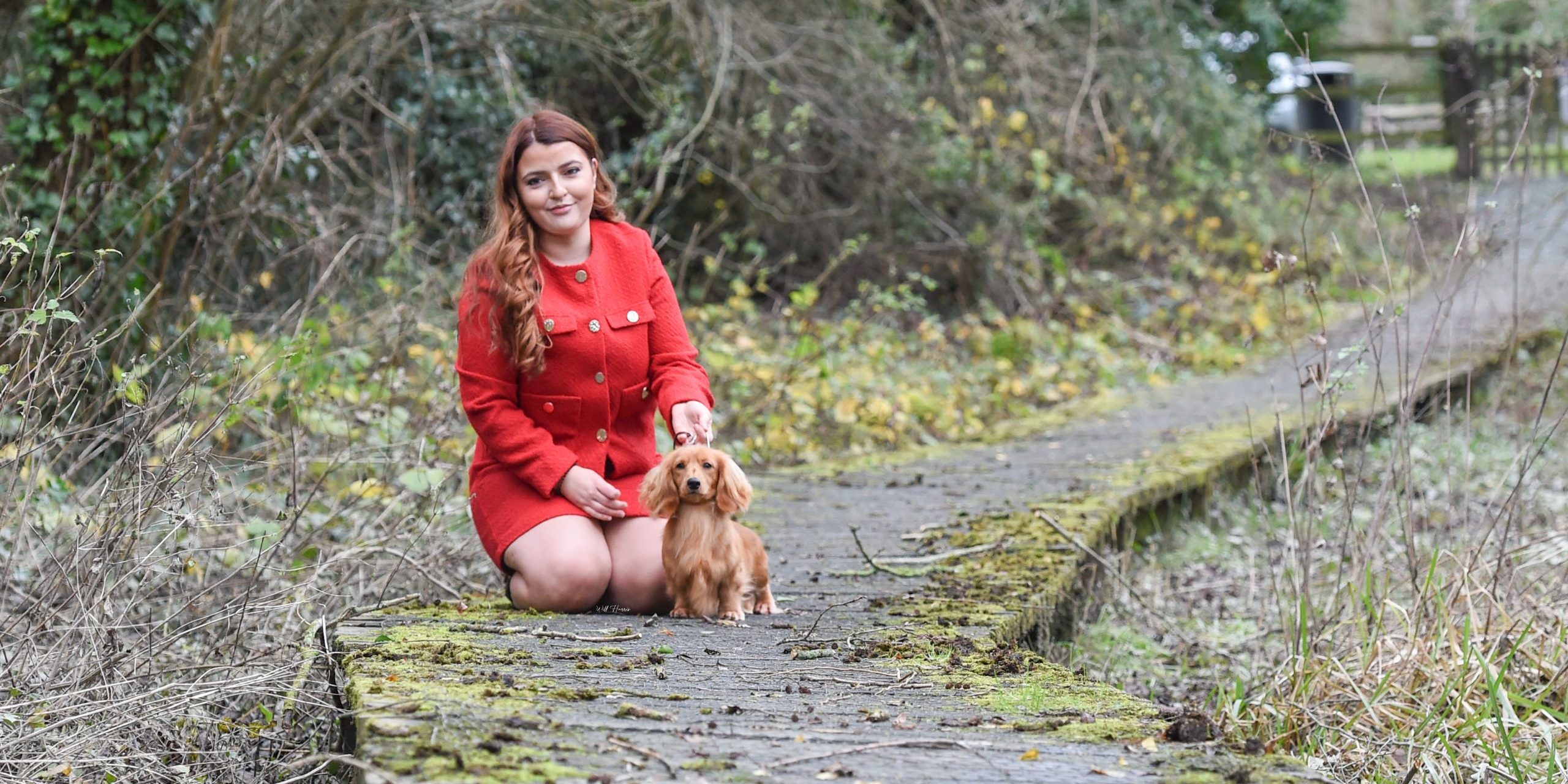 Zarcrest Red in the Room JW